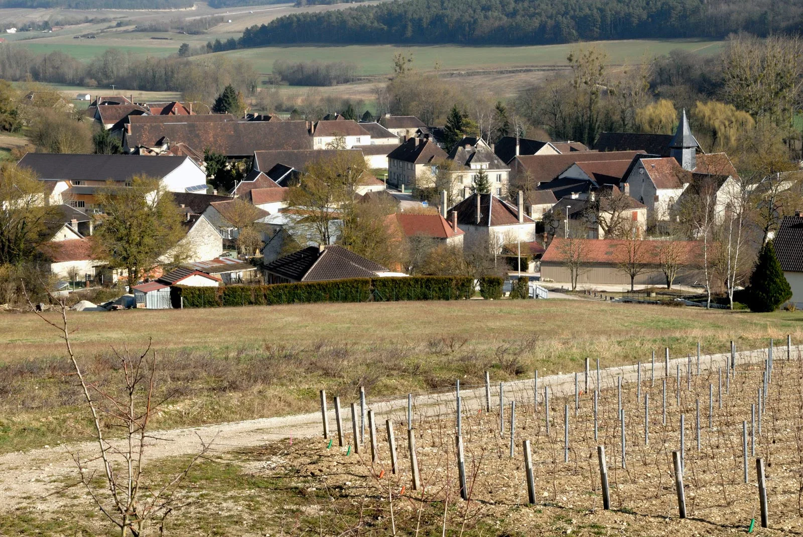 Buxières sur Arce