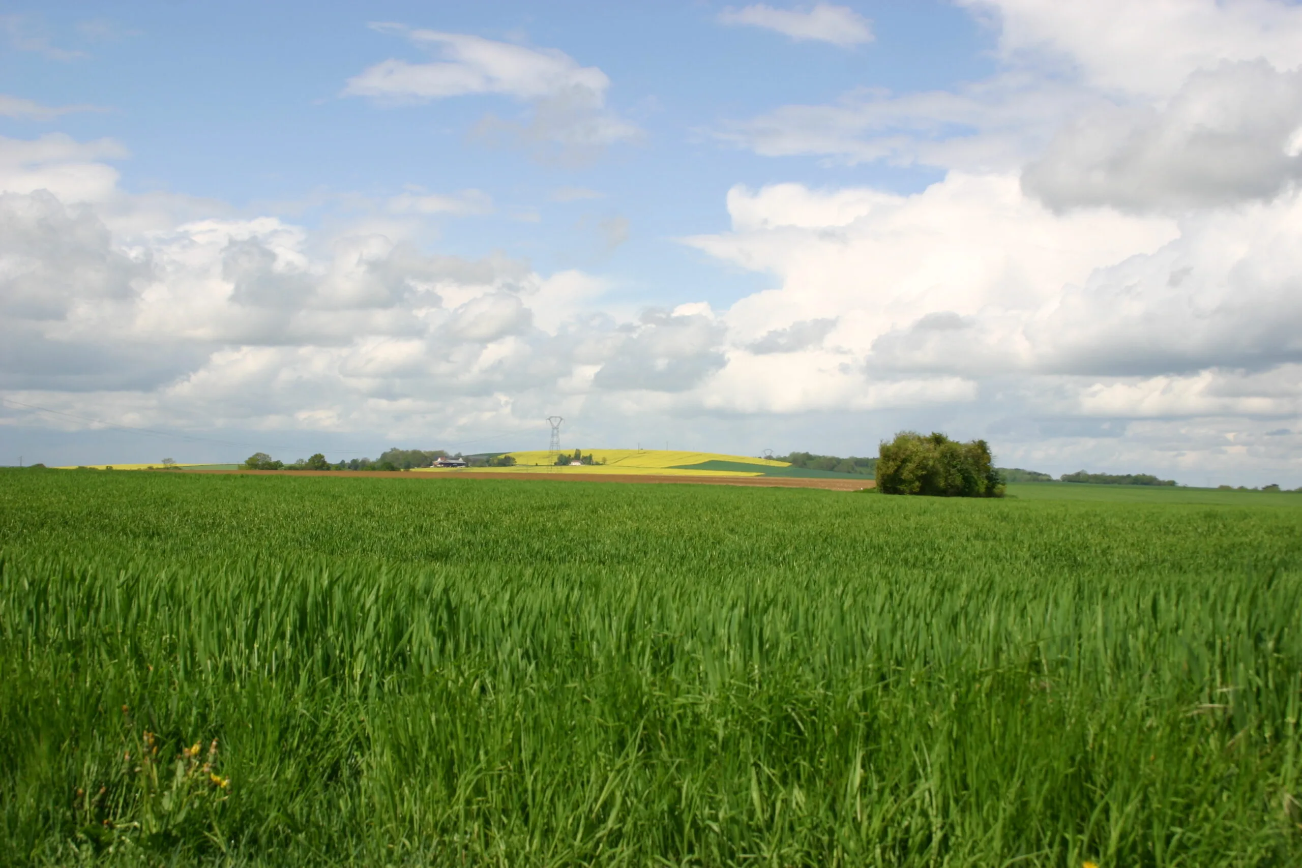 Courcelles Sapicourt