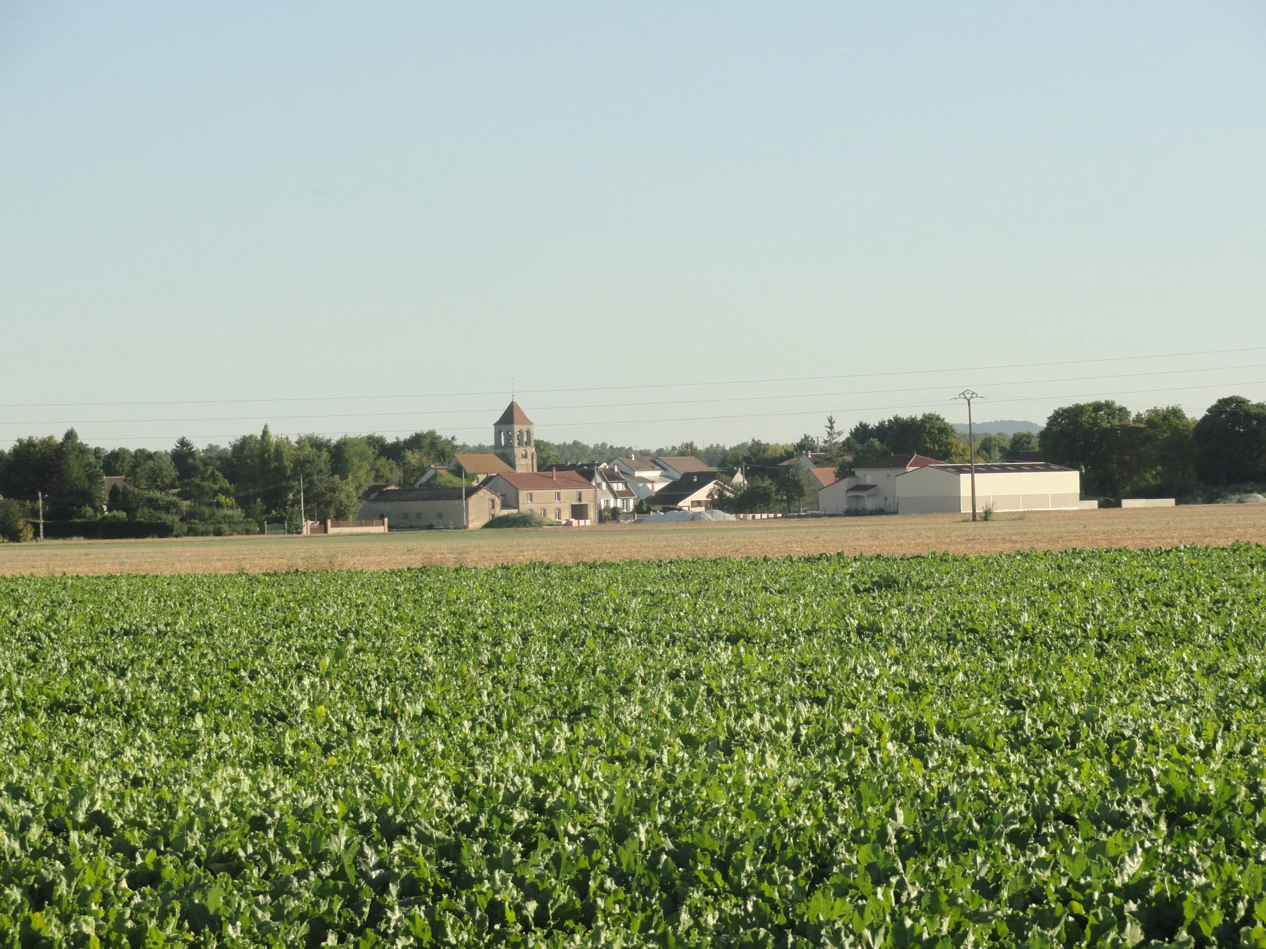 Flavigny