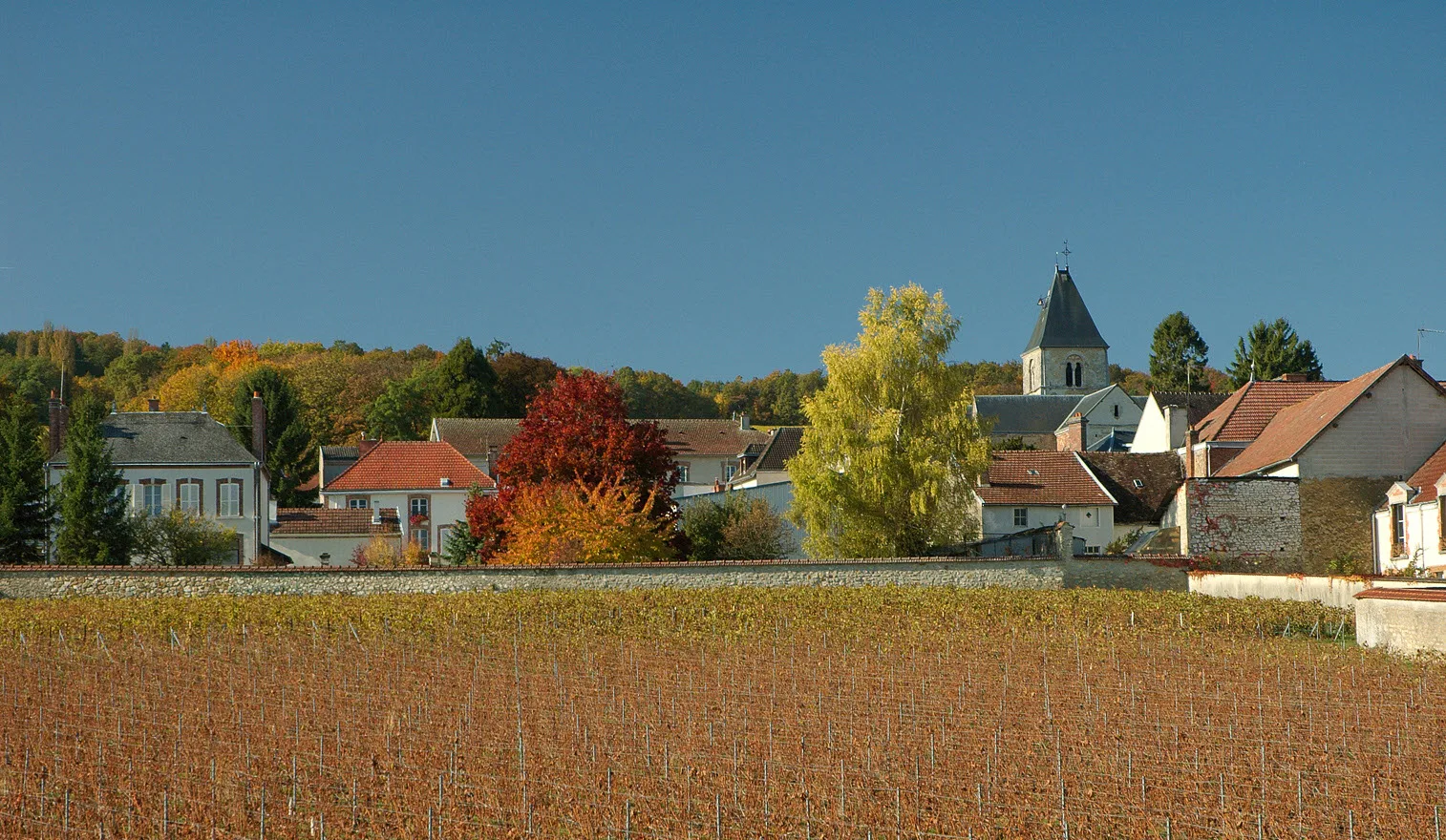 Le Mesnil sur Oger