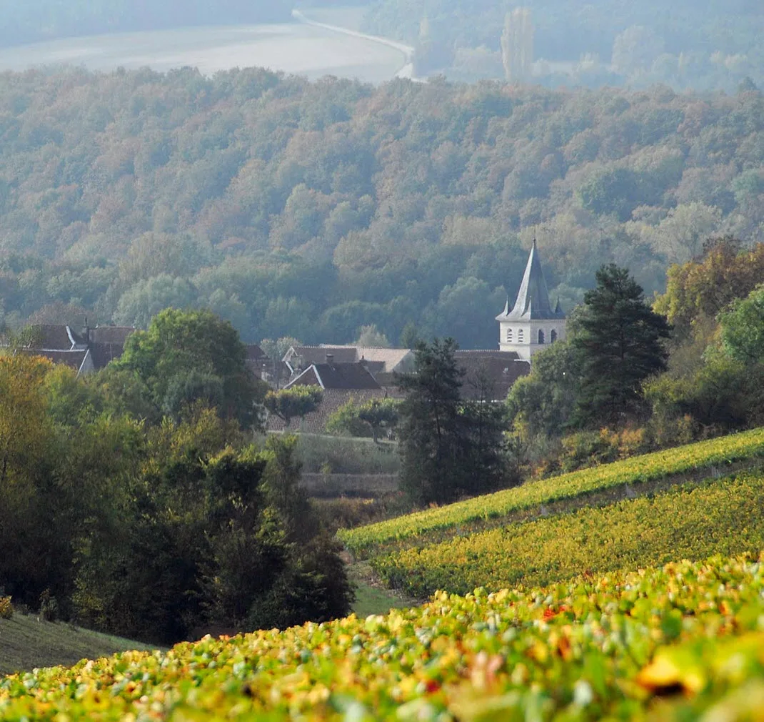 Loches Sur Ource